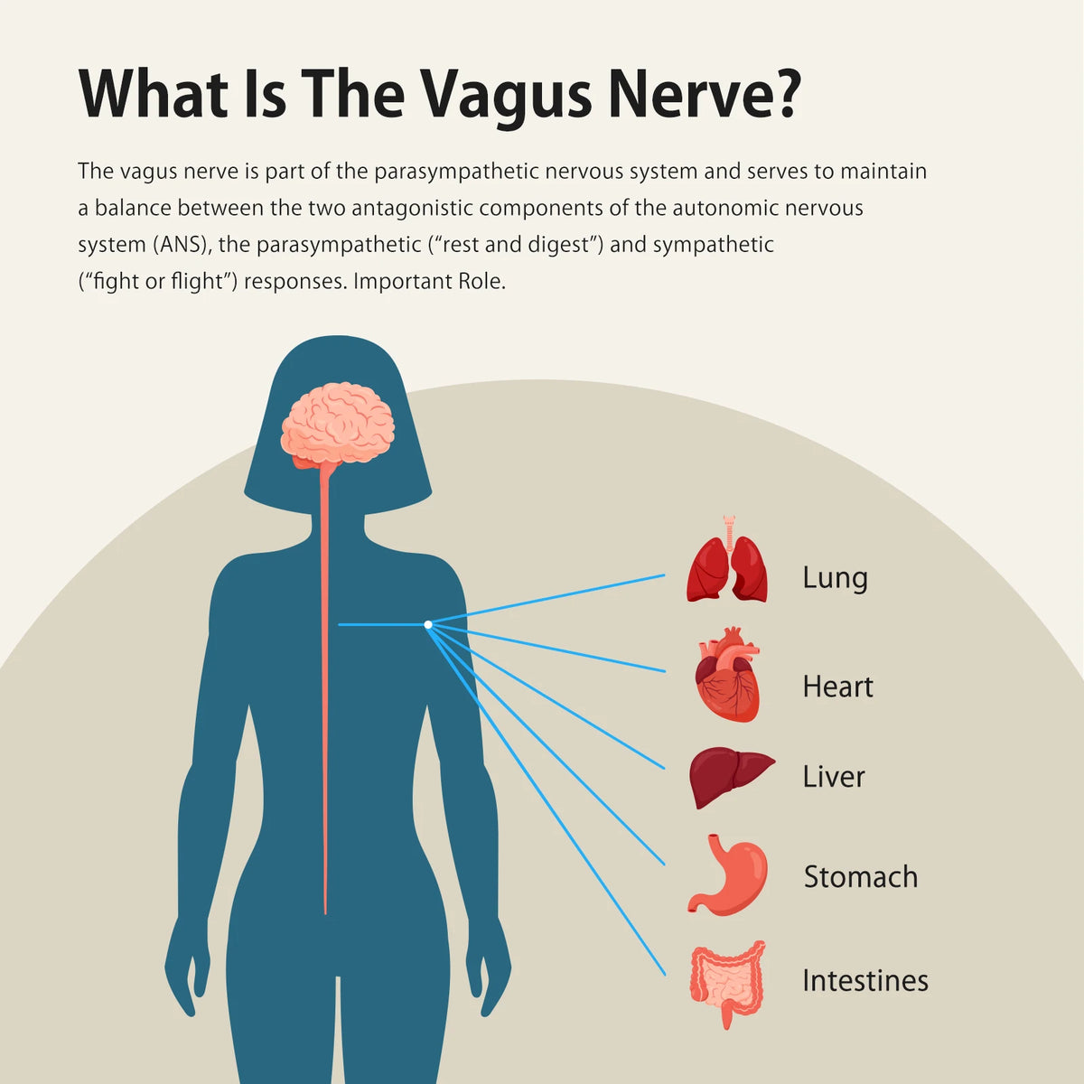 ZenoWell Vagus Nerve Stimulation Device for Sleep and Anxiety Relief