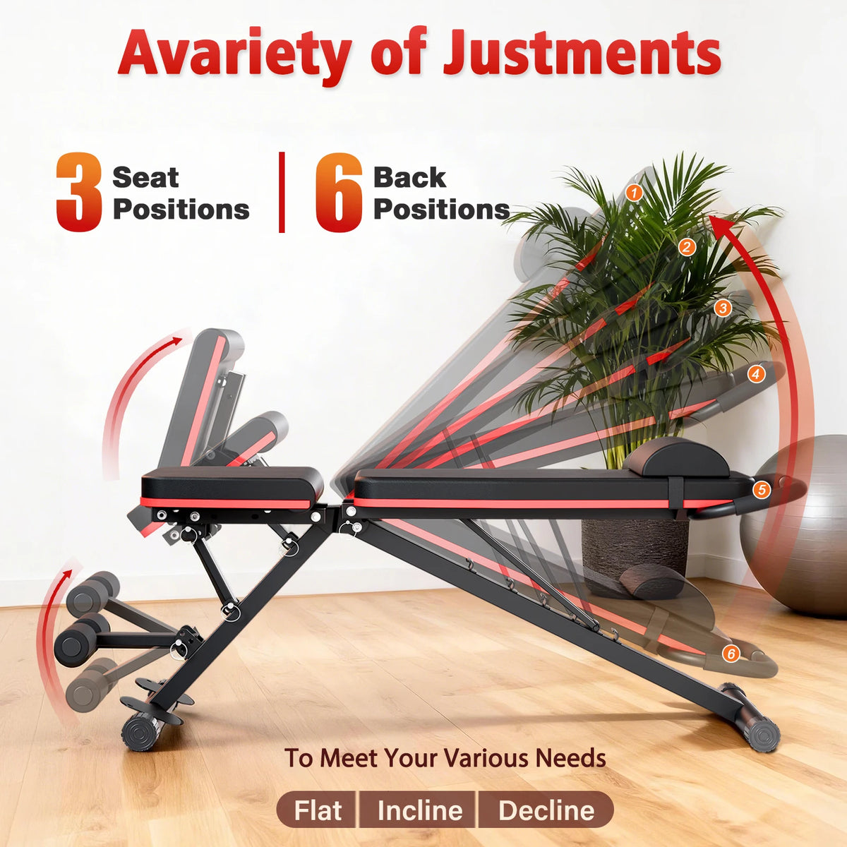 Foldable Multi Functional Dumbbell Weight Bench for Full Body Workouts